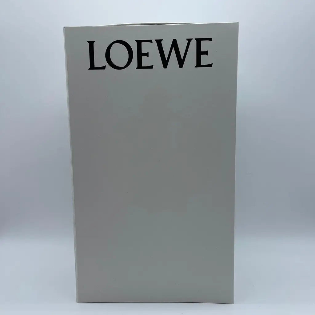 Loewe Foam Pebble Toe Post Glossy Size36