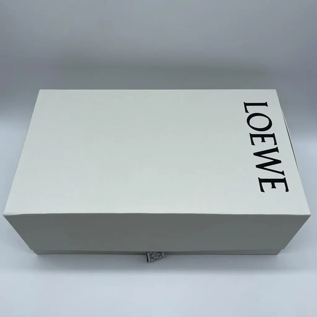 Loewe Foam Pebble Toe Post Glossy Size37