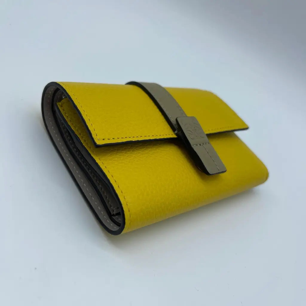 Loewe SGC Carteira Vertical Pequena 