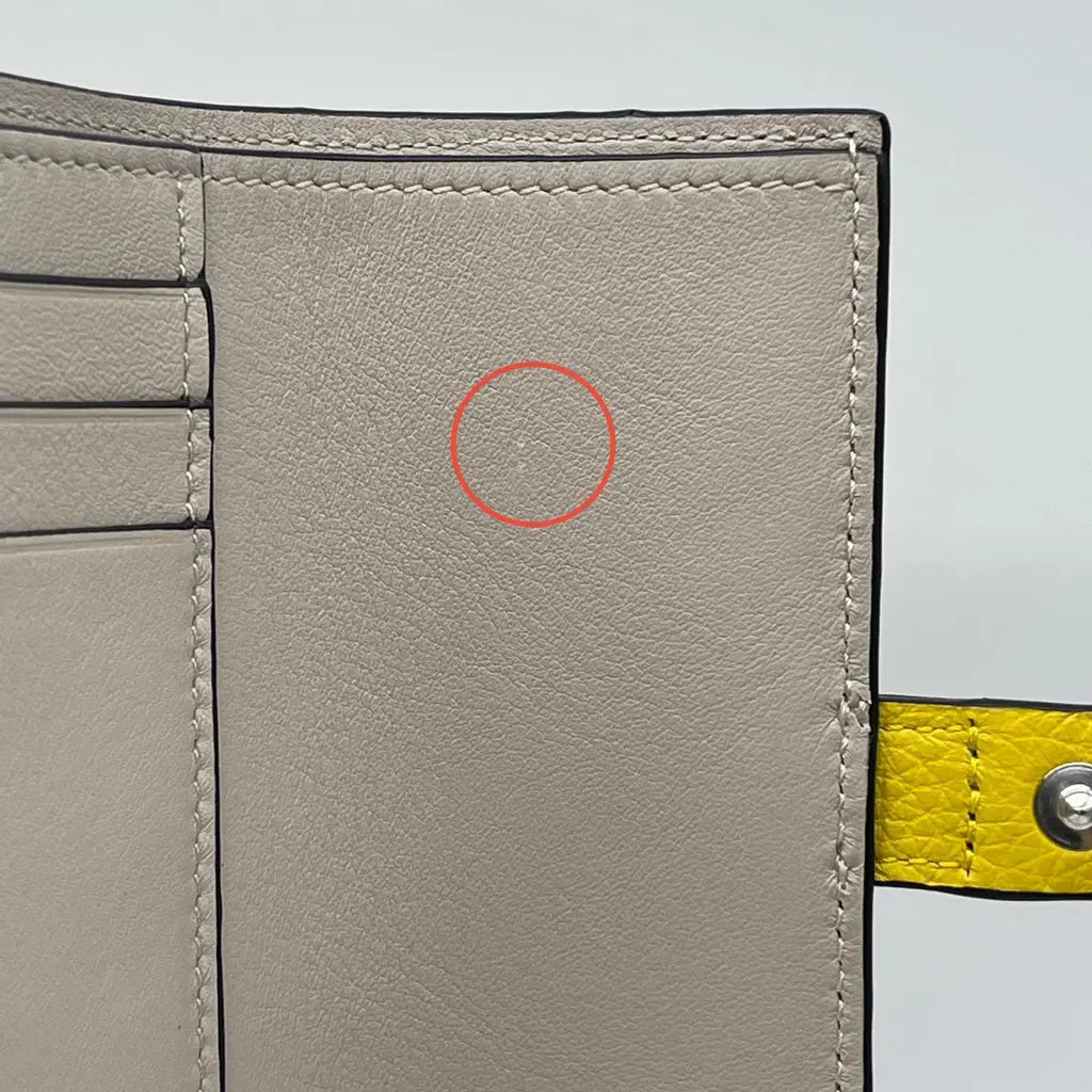 Loewe SGC Carteira Vertical Pequena 