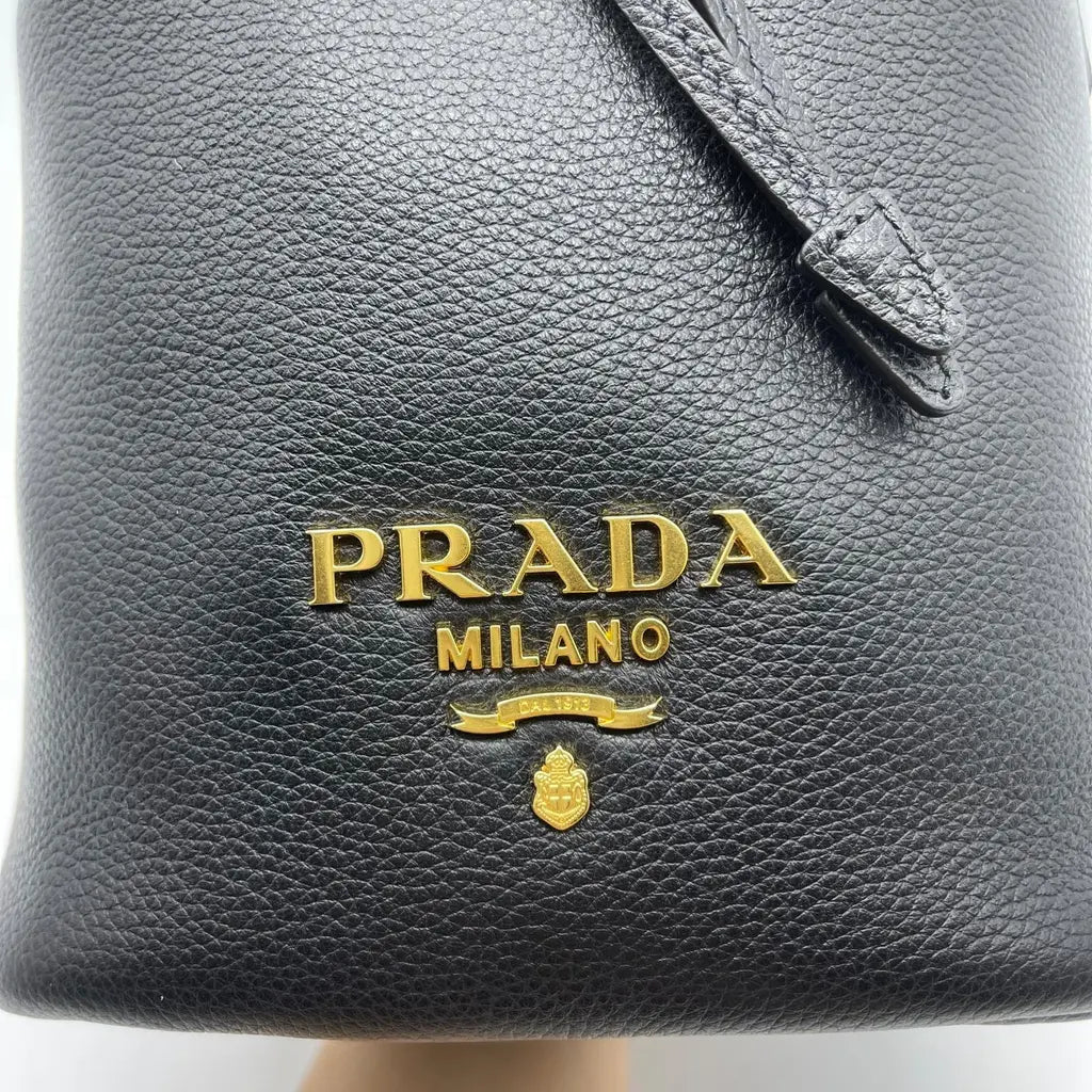 Prada Vitello Phenix Bag