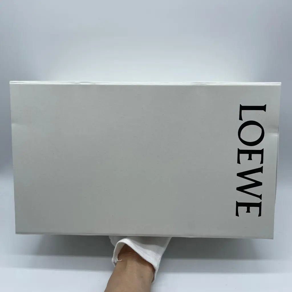 Loewe Foam Pebble Toe Post Glossy Size36