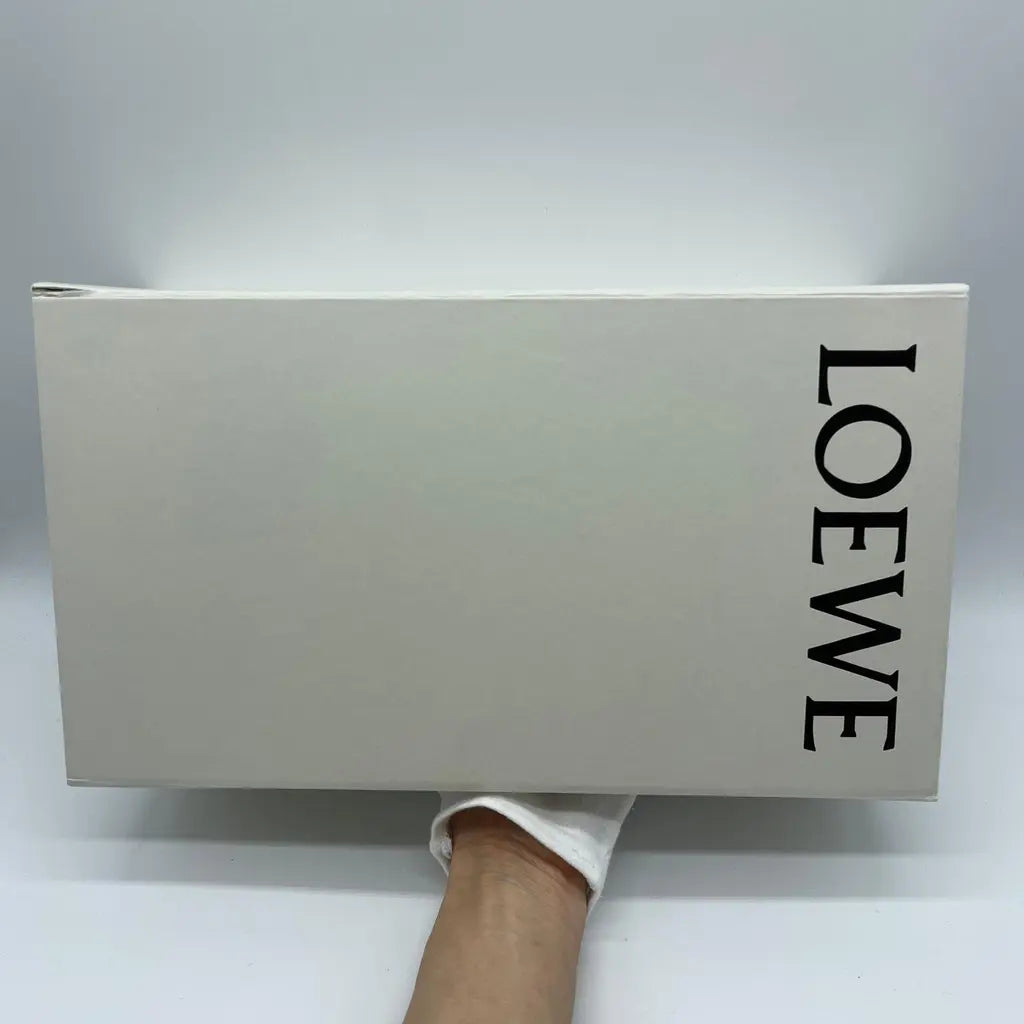 Loewe Foam Pebble Toe Post Glossy Size37