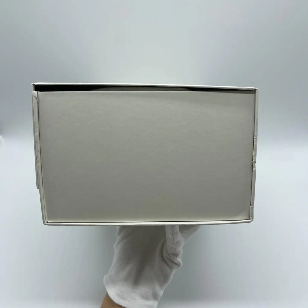 Loewe Foam Pebble Toe Post Glossy Size37