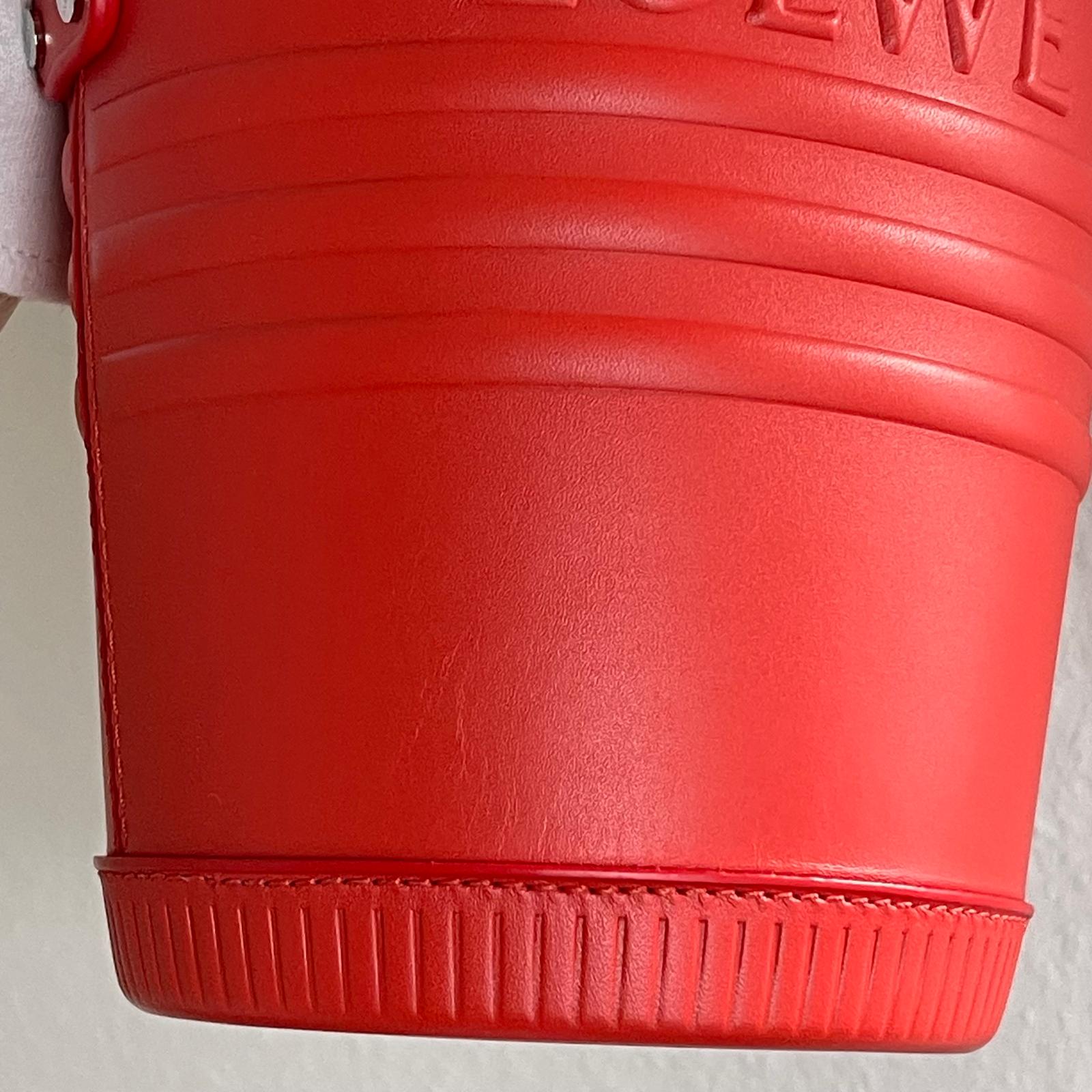 Loewe Jardinier Pocket Bag