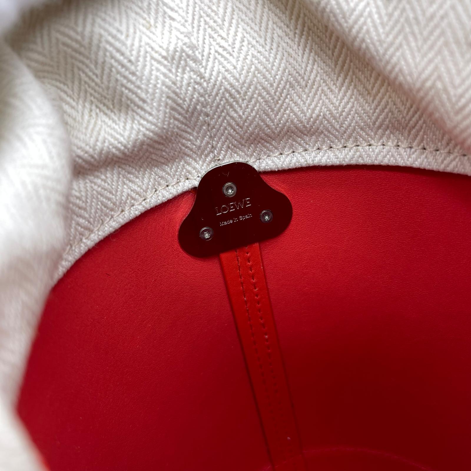 Loewe Jardinier Pocket Bag