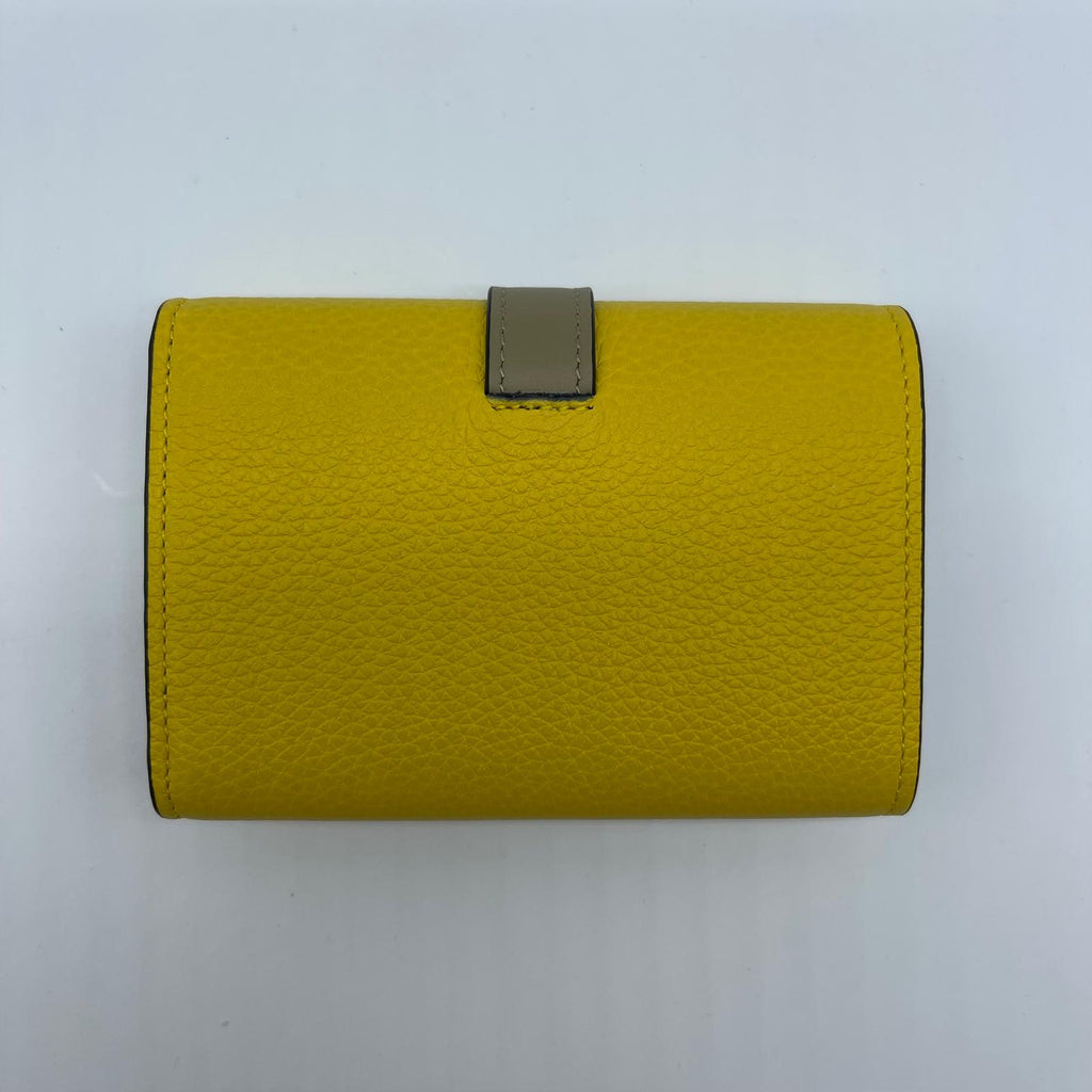 Loewe SGC Carteira Vertical Pequena 