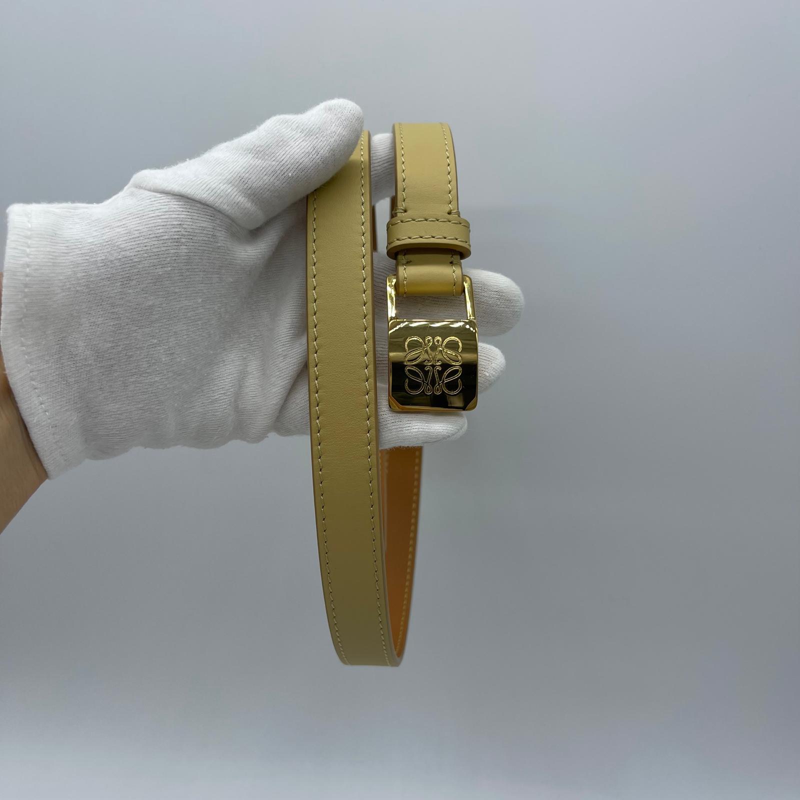 Loewe Amazona 2cm Belt Size 80