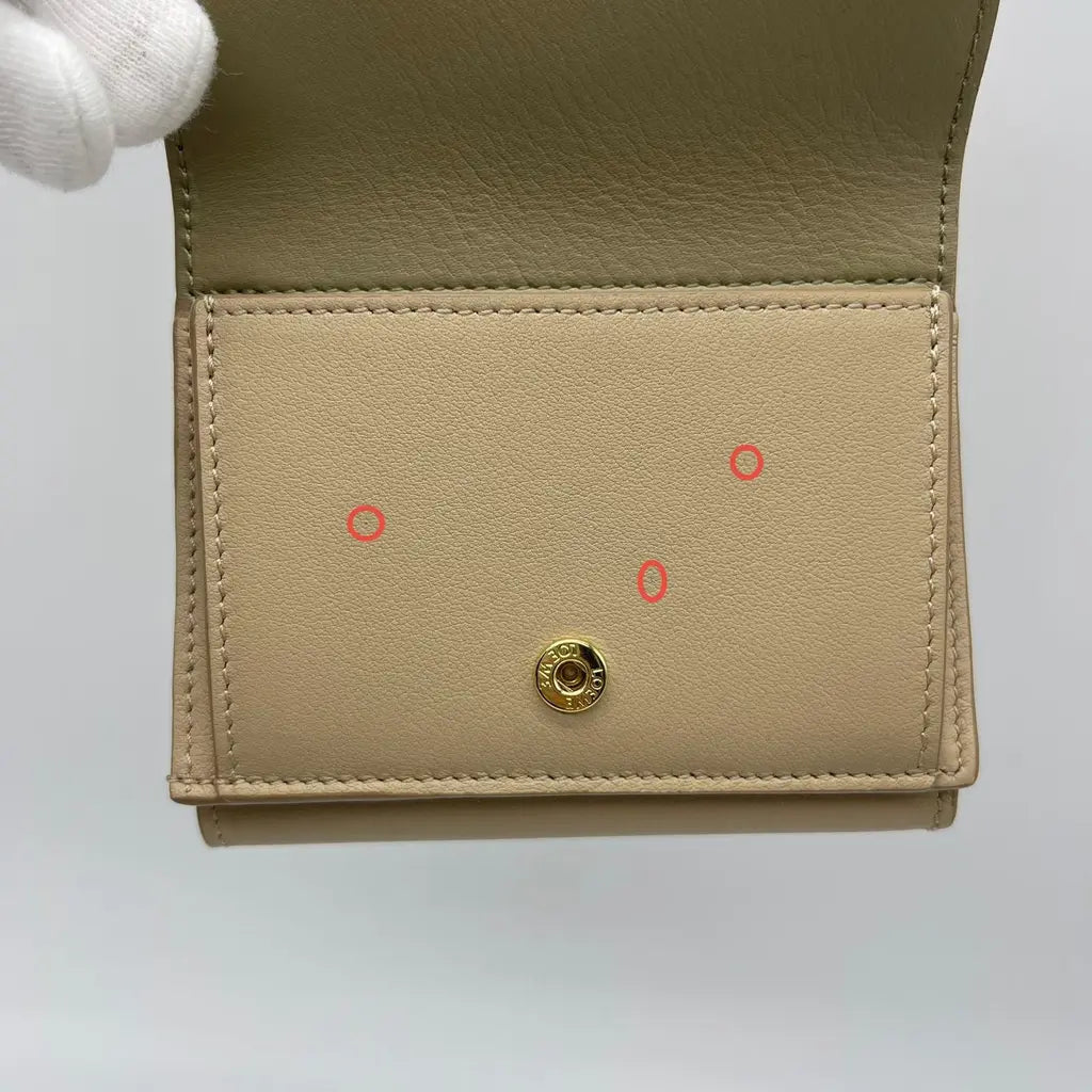 Loewe Trifold Wallet B. Leach Snail